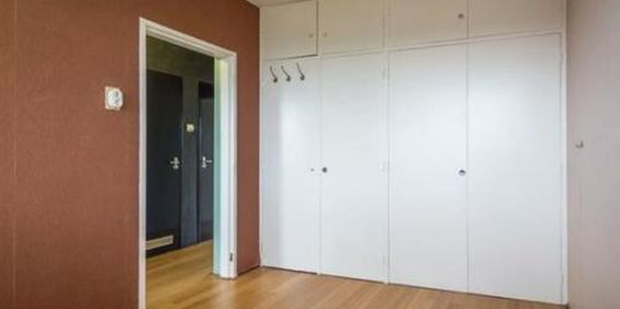 Van Eeghenstraat 1071 Amsterdam - Foto 3