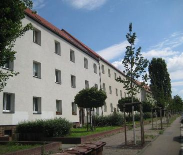 Probstheidaer Str. 81, 04277 Leipzig OT Lößnig - Photo 4