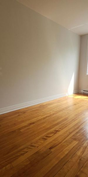 Appartement Montréal (Rosemont/La Petite-Patrie) � Louer - Photo 1