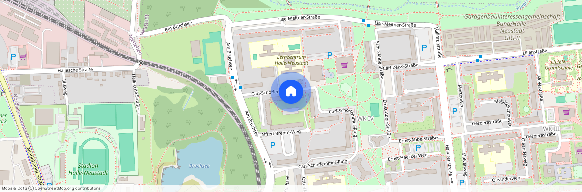 Carl-Schorlemmer-Ring 63, 06122, Halle