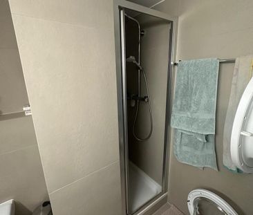APPARTEMENT DUPLEX RENOVE DE 3½ PIECES A L'ENTREE DE LA BASSE VILLE - Photo 6