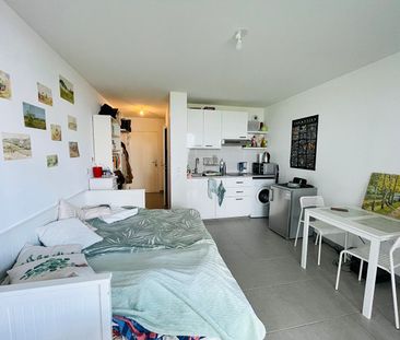 Location Appartement 1 pièce 23m² - Photo 2