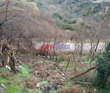 Διαμέρισμα για ενοικίαση - Κορώνεια - Photo 3