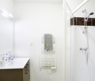 Studio T1 20m2 meublé et équipé - Photo 5