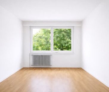 1 Zimmer, 16 m², EG - Foto 6