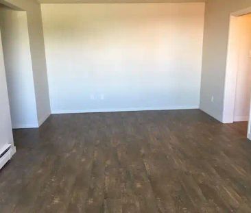Large 1 bedroom, Close to amenities | Edmonton - Photo 1