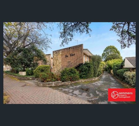311/271-281 Gouger Street, Adelaide, SA 5000 - Photo 3