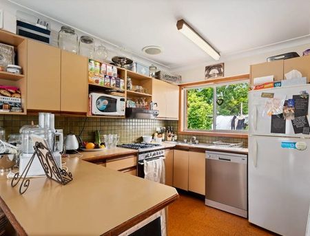 319 Chambers Avenue, East Albury NSW 2640 - House For Rent | Domain - Photo 4