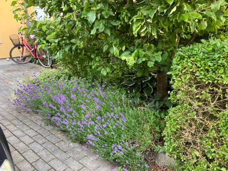 Ambravägen, Bromma - Foto 2