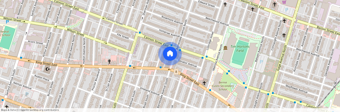 19 Barnesdale Avenue Unit# Main, Hamilton