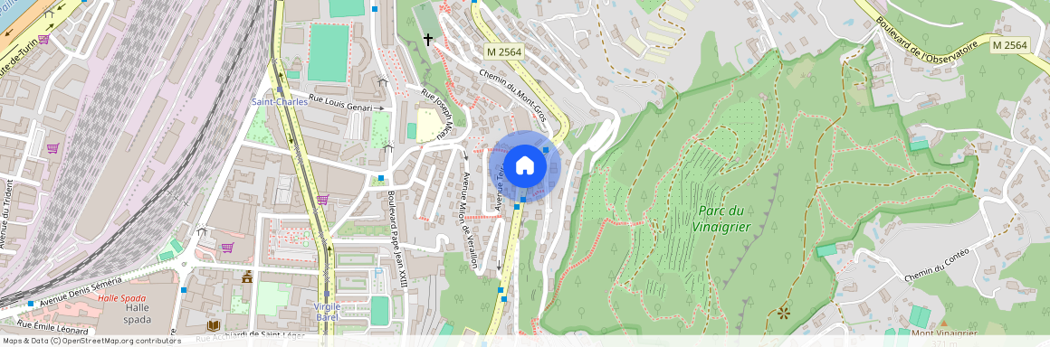 117 Boulevard Bischoffsheim, 06000, Nice
