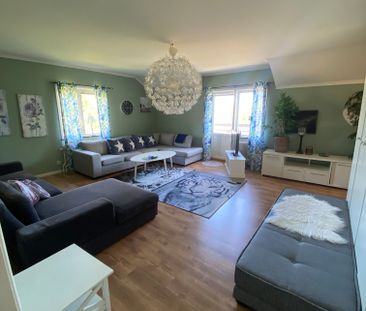 Storsjövägen, Skog - Foto 2