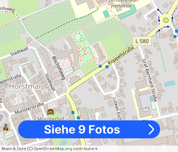 Historisches Wohnen in Horstmar - Foto 1