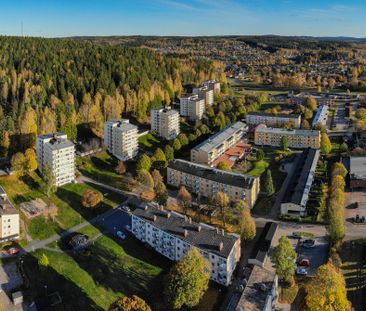 Hjortrongården 13 - Foto 1