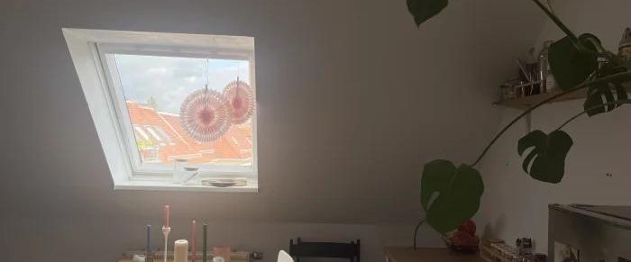 Wir suchen Nachmieter:innen - Foto 1