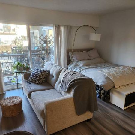 VGH – Lovely Studio Suite – Available Jan. 1st!(1233 W. 11 Ave) - Photo 4