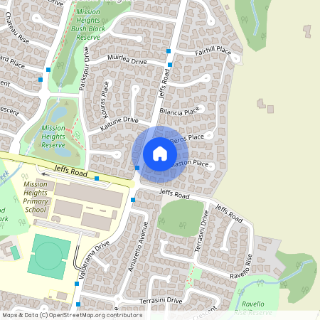 4 Woolaston Place, Flat Bush, Manukau City