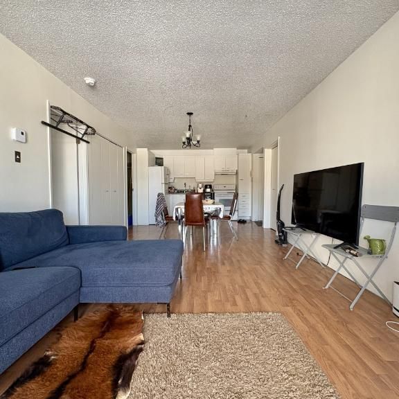 Appartement 4 ½ à louer Sainte-Foy / Sillery juillet 2026 - Photo 1