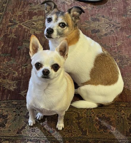 Coffs Harbour - Photo 2