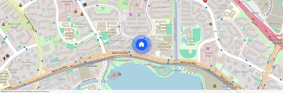 Jurong Lake Link, Singapore