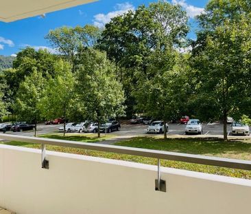 Type 2 plein sud au calme - Photo 5