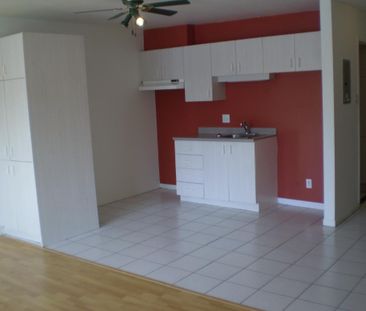 1 1/2 pour juillet, 3e étage, ascenseur, piscine, quiétude, vue pis... - Photo 2