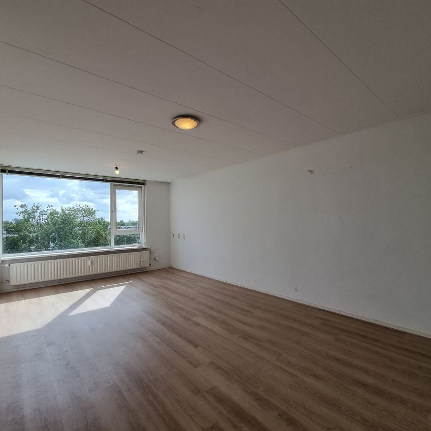 Te huur: Appartement Wilgenplaslaan in Rotterdam - Foto 1
