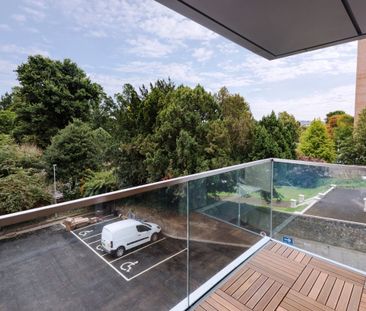 Central Park - Photo 4