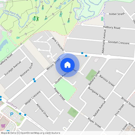 16 Dudley Avenue, SA 5108, Salisbury