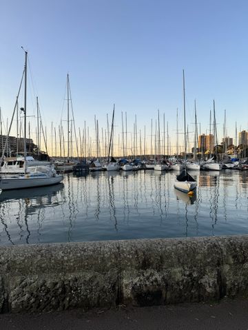 Rushcutters Bay - Photo 3