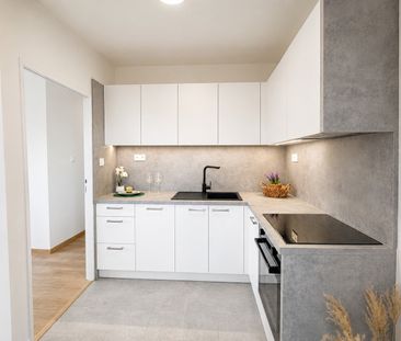 Pronájem bytu 2+1 43 m² - Fotografie 3