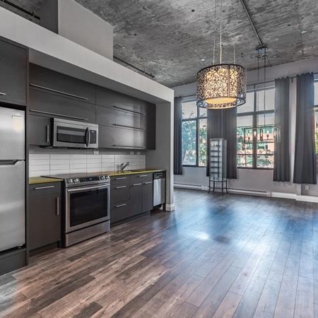 Condo espace ouvert (Loft) - Photo 4