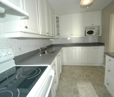 2 bedroom unit close to Cite Collegiale and Ogilvie/Bathgate - Photo 2