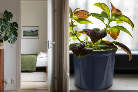 Neptunigatan, Malmö - Photo 3