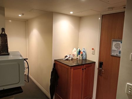 Brisbane CBD - Photo 3