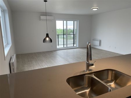 820-203 très beau 4 1/2 (Mars) rue Lamarche, Sherbrooke J1H 0M9 - Photo 4