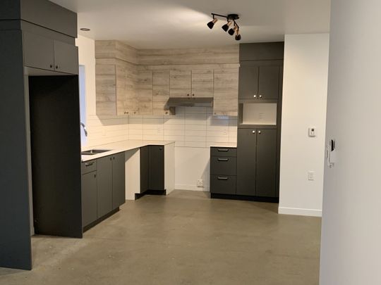 3630-102 rue Imelda-Lefebvre, Sherbrooke, Libre pour Janvier 2026 - Photo 1