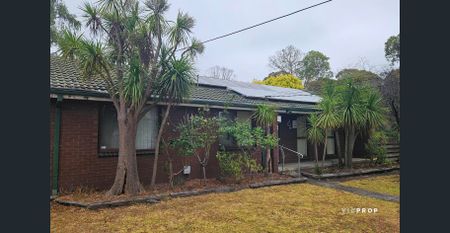 Spacious Family Home - 6 Month Lease Only - Photo 3