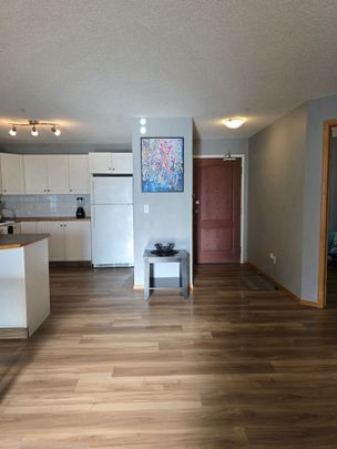 220, 260 Duston Street - Photo 1