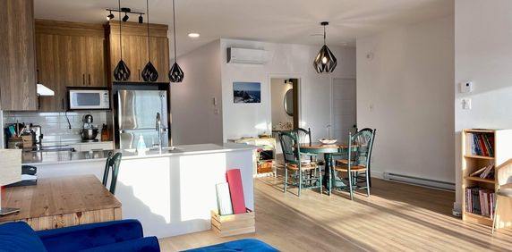 5 1/2 Adossé à Un Champ St-Hyacinthe - Photo 2