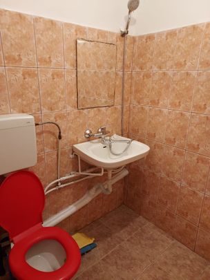 🏠 De închiriat garsonieră – Zona Șagului- - Photo 1