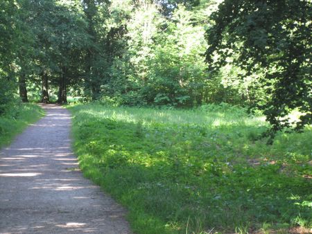 Höstgatan 25 - Foto 4