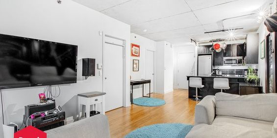 Appartement Le Sud-Ouest (Montréal) À Louer - Photo 3