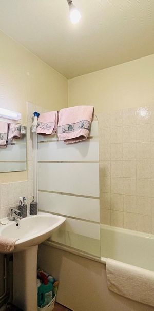 Location Appartement 1 pièce 25m² CHAMBRAY LES TOURS 37170 - Photo 1
