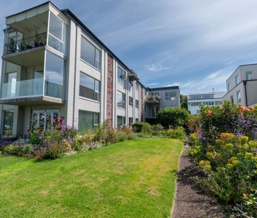 Charming Apartment - Photo 3