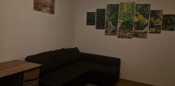 Dristor camil ressu parter - Photo 2