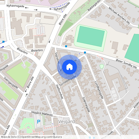 Grønnegade 2, st. tv., Aalborg