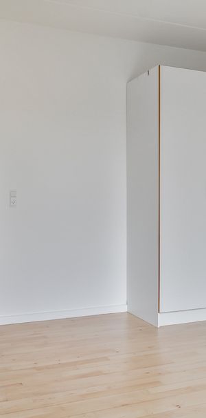 2 værelses lejlighed omgivet af skøn natur - Photo 1