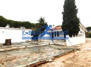 Μονοκατοικία για ενοικίαση - Μαραθώνας, - Photo 2