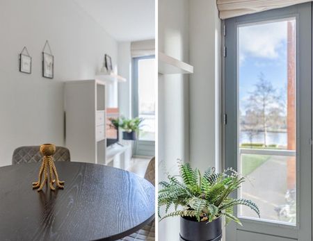 Te huur: Appartement Bellevuelaan 317 in Haarlem - Foto 3